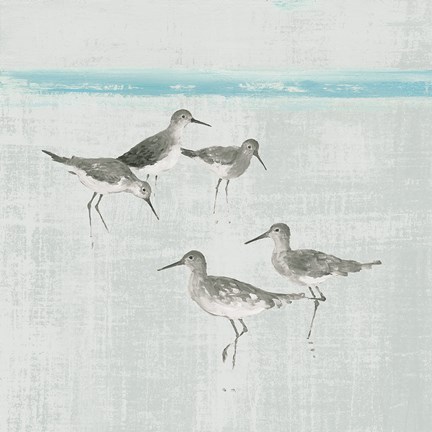 Framed Sandpipers Square I Gray Print