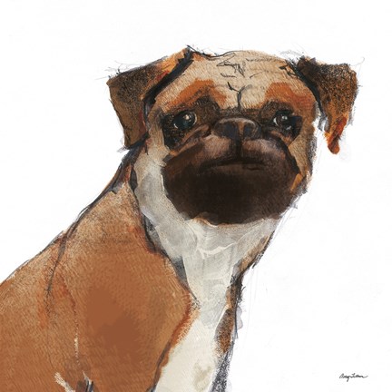 Framed Snug Watercolor Print