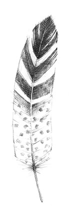 Framed Spirit Feather VII Print