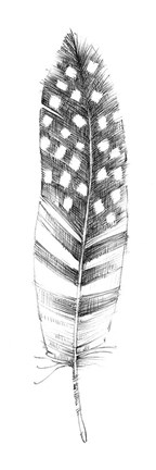 Framed Spirit Feather VIIIb Print