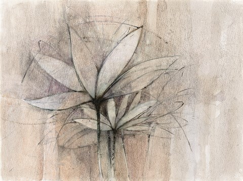 Framed Windflowers Print