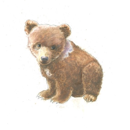 Framed Into the Woods Bear Cub Print