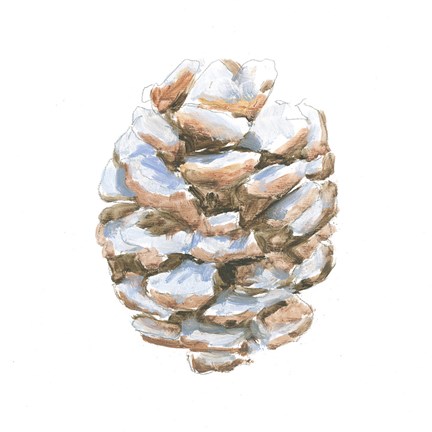 Framed Into the Woods Pinecone I Print