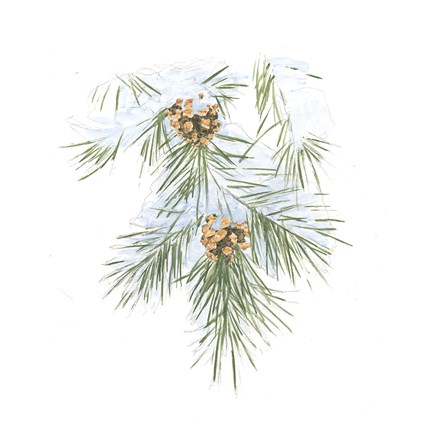 Framed Into the Woods Pinecone III Print