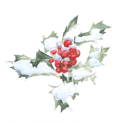 Framed Into the Woods Holly II Print