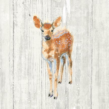 Framed Into the Woods III no Border on Barn Board Print