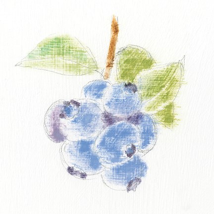 Framed Garden Delight II Print