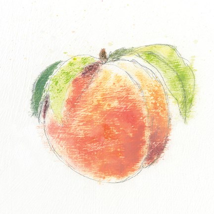 Framed Garden Delight IV Print