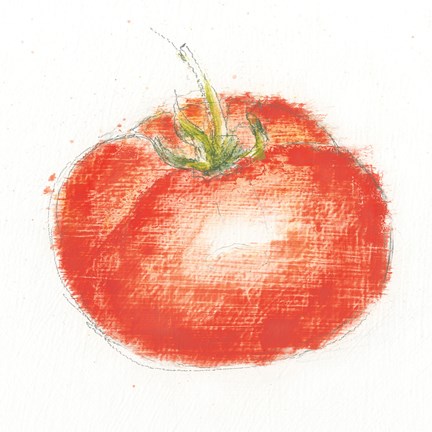 Framed Garden Delight XII Print