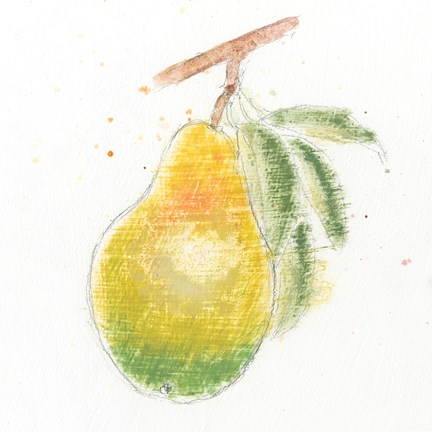 Framed Garden Delight V Print