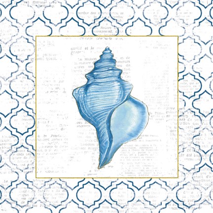 Framed Navy Conch Shell on Newsprint with Gold Print