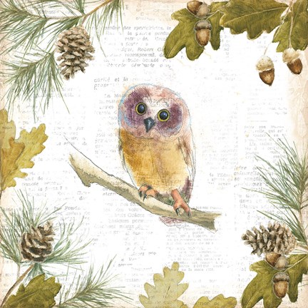 Framed Into the Woods II Print