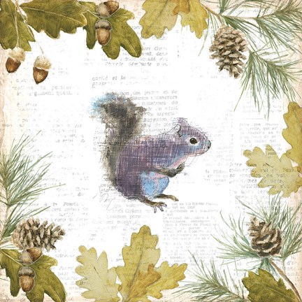 Framed Into the Woods V Print