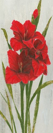 Framed Red Simplicity I Print