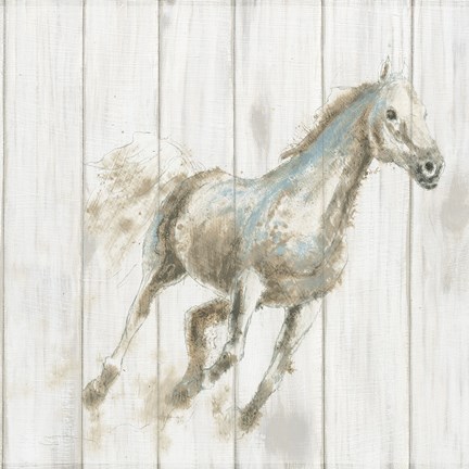 Framed Stallion I on Birch Print