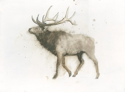 Framed Elk Print
