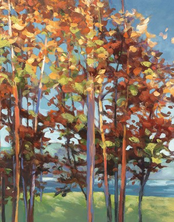 Framed Kaleidoscope II Print