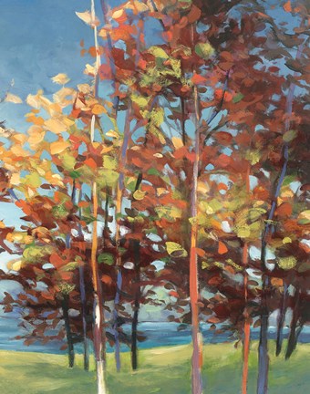 Framed Kaleidoscope III Print