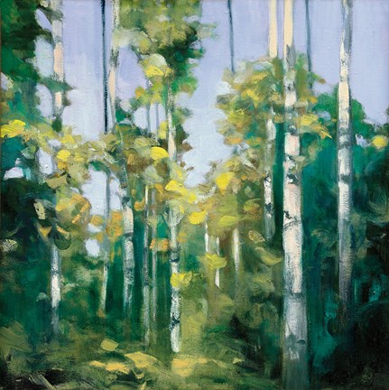 Framed Birches Print