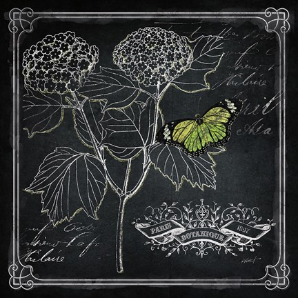 Framed Chalkboard Botanical I Print