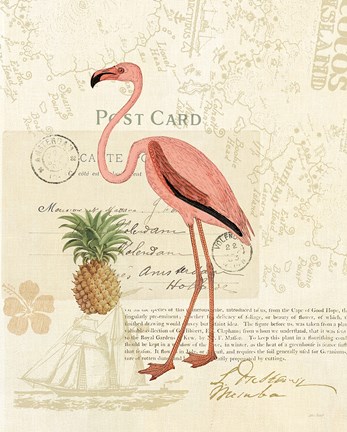 Framed Floridian IV Print