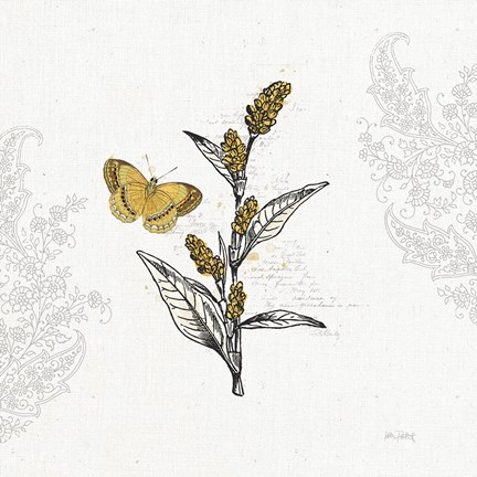 Framed Harvest Fields V Print