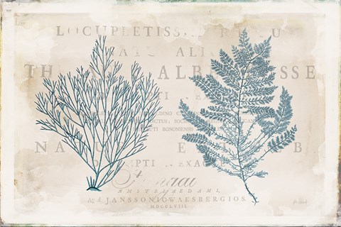 Framed Sea Garden I Print