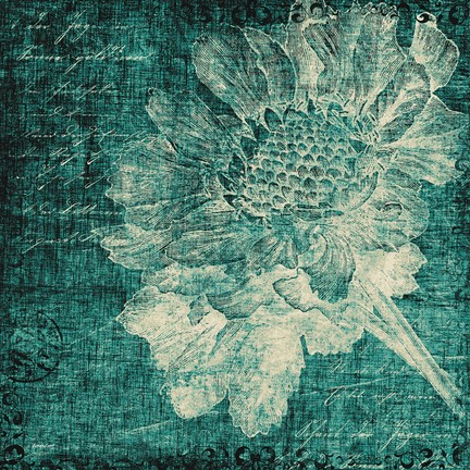 Framed Aqua Vintage Botanical Print