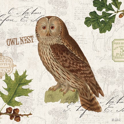 Framed Lodge Collage V Print