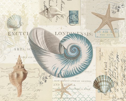 Framed Beach Wonders II No Butterflies Print