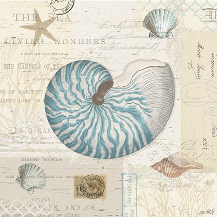 Framed Beach Wonders IV No Butterflies Print