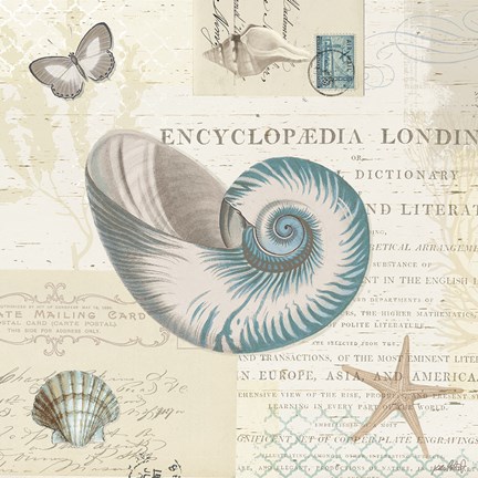 Framed Beach Wonders III Print