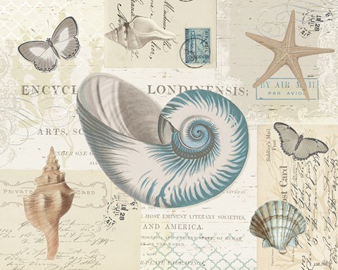 Framed Beach Wonders II Print