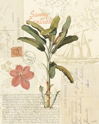 Framed Floridian III Print