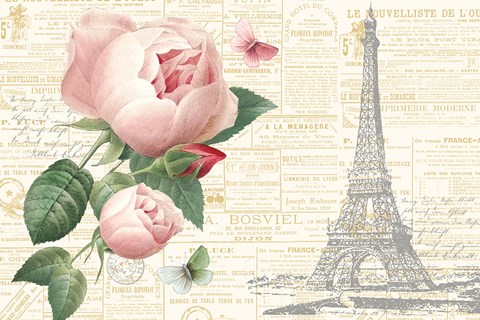 Framed Roses in Paris II Print