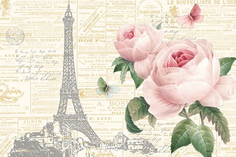 Framed Roses in Paris I Print