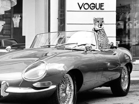 Framed En Vogue Print