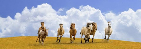 Framed Herd of Wild Horses (detail) Print