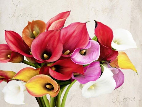 Framed Live &amp; Love Print