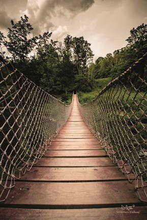 Framed Wilderness Walkway Print