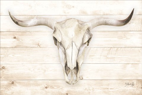 Framed Cow Skull Print