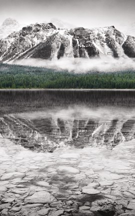 Framed Waterfowl Lake Panel II BW with Color Print
