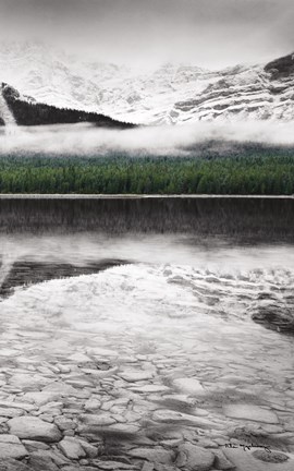 Framed Waterfowl Lake Panel III BW with Color Print