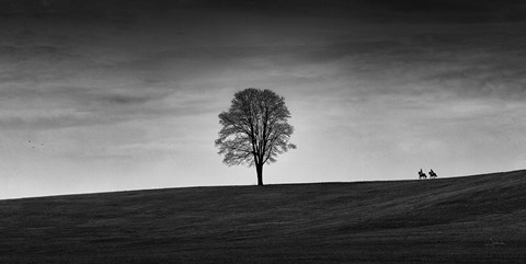 Framed In the Distance Print