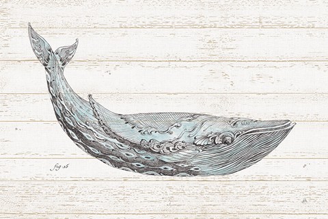 Framed Underwater Life I Blue Print