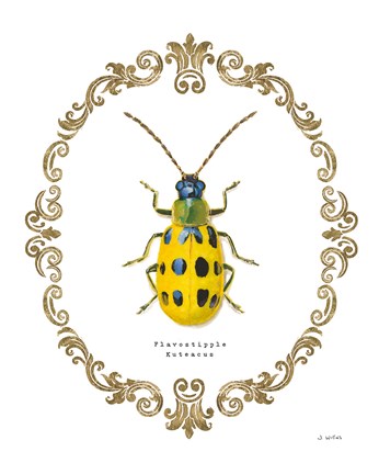 Framed Adorning Coleoptera VII Print
