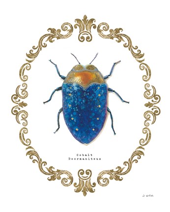 Framed Adorning Coleoptera V Print