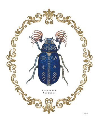 Framed Adorning Coleoptera III Print