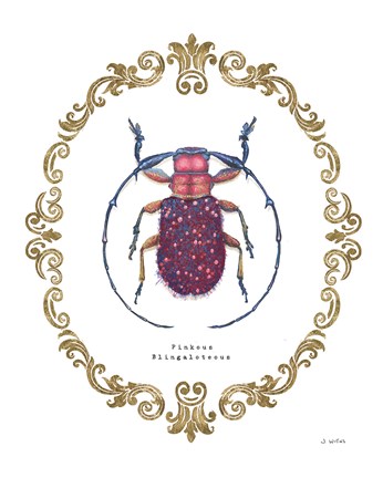 Framed Adorning Coleoptera II Print