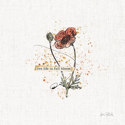 Framed Thoughtful Blooms IV Print